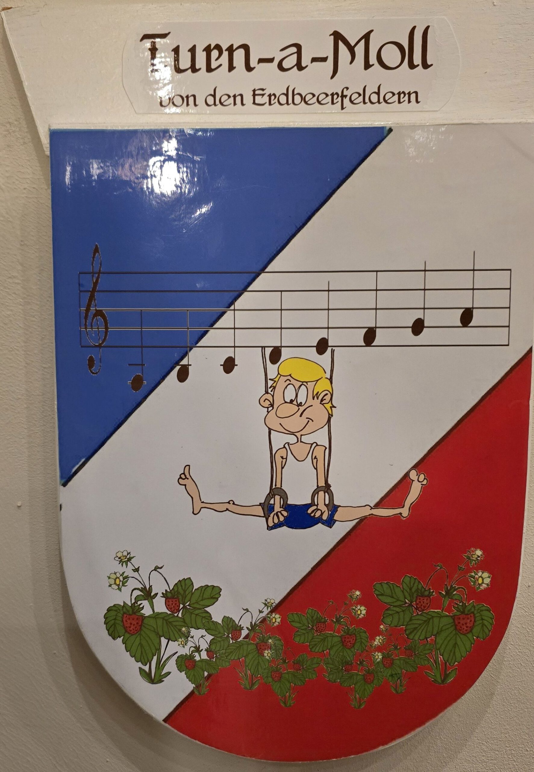 Wappen Rt. Turn-a-Moll